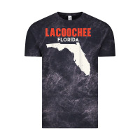 Lacoochee Florida Usa State America Travel Floridian T Shirt Vintage Tee | Teevron