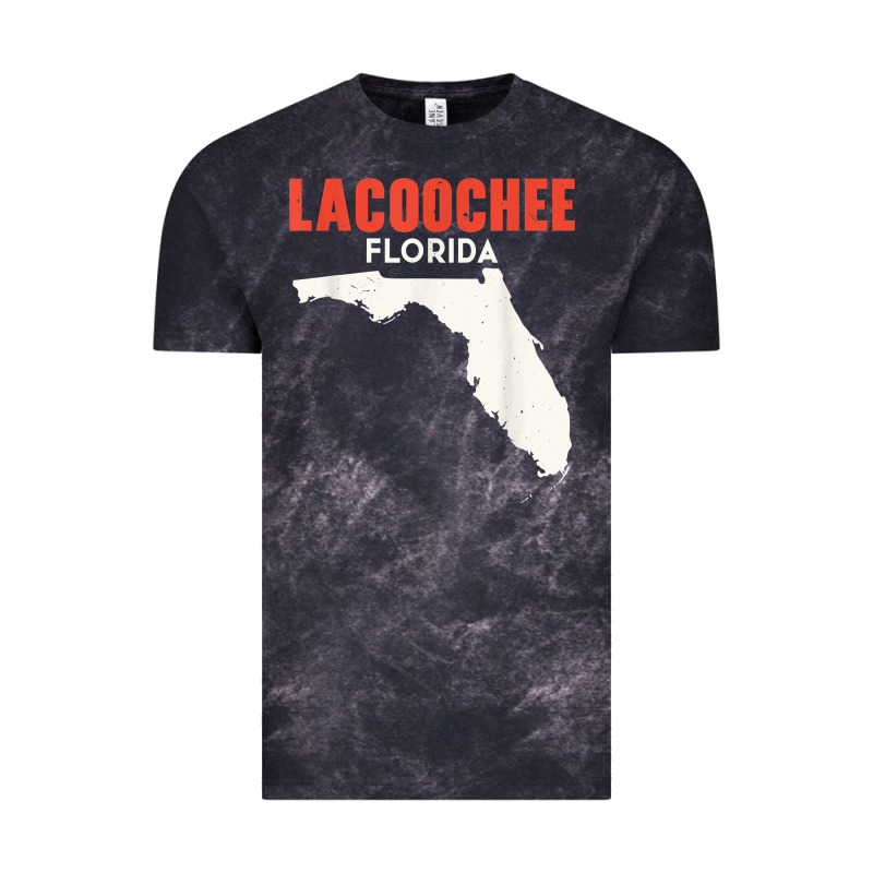 Lacoochee Florida Usa State America Travel Floridian T Shirt Vintage Tee by longCreatives | Teevron