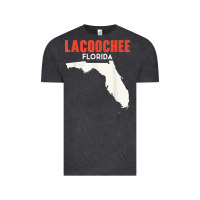 Vintage Black lacoochee florida usa state america travel floridian t shirt Vintage Tee - longCreatives