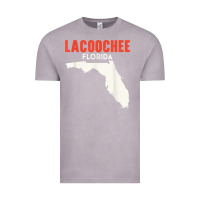Vintage Zinc lacoochee florida usa state america travel floridian t shirt Vintage Tee - longCreatives