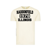 Vintage Arctic Haddonfield Illinois Halloween 1978 Halloween Spooky Scary Gift Vintage Tee - longCreatives
