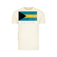 Vintage Arctic Bahamas Flag Country Men Women Kids Christmas Gift Family Vintage Tee - longCreatives