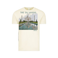 Vintage Arctic india agra taj mahal mausoleum travel tourist Vintage Tee - longCreatives