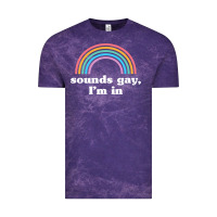 Sounds Gay, I'm In Vintage Tee | Teevron