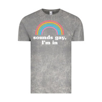 Cloud Rock Sounds Gay, I'm In Vintage Tee - longCreatives