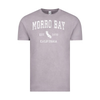 Vintage Zinc Morro Bay California CA Vintage Athletic Sports Design Vintage Tee - longCreatives