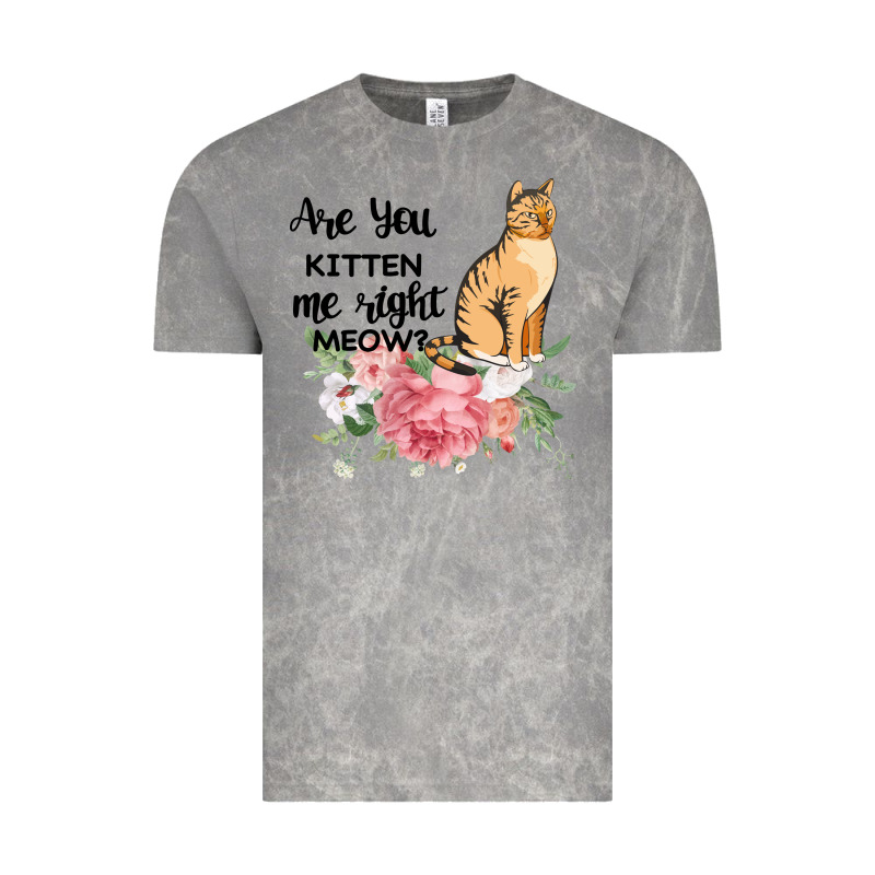 Are You Kitten Me Right Meow Vintage Tee by Bettercallsaul | Teevron