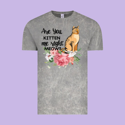 Are You Kitten Me Right Meow Vintage Tee Designed By Bettercallsaul