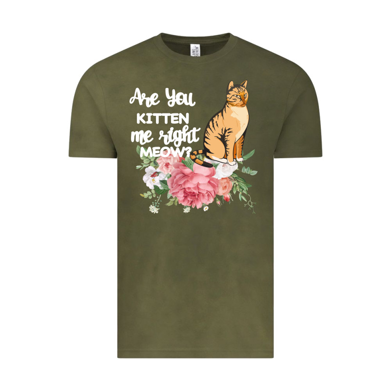 Cat Maine Coon Gift Kidding Kitten Meow Pussycat Vintage Tee by Bettercallsaul | Teevron