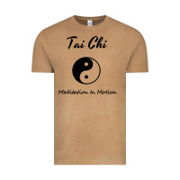Vintage Camel Tai Chi T, Meditation In Motion, Martial Arts Gift Vintage Tee - longCreatives