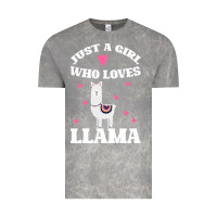 Cloud Rock Llama Just A Girl Who Loves Llamas Vintage Tee - Bettercallsaul
