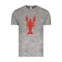 Louisiana Crawfish T Laissez Le Bon Temps Rouler Vintage Tee | Teevron