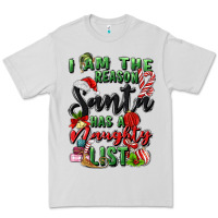 Dove Grey i am the reason santa has a naughty list Premium Tee - MaliasSmallBusiness