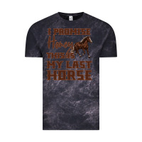 Cloud Black I Promise Honey This Is My Last Horse Vintage Tee - Bettercallsaul