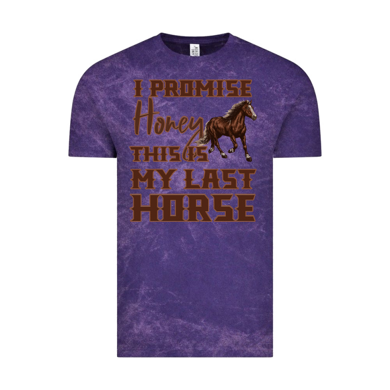 I Promise Honey This Is My Last Horse Vintage Tee by Bettercallsaul | Teevron