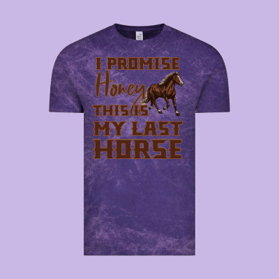 I Promise Honey This Is My Last Horse Vintage Tee Designed By Bettercallsaul