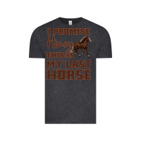 Vintage Black I Promise Honey This Is My Last Horse Vintage Tee - Bettercallsaul