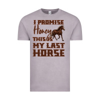 Vintage Zinc I Promise Honey This Is My Last Horse Vintage Tee - Bettercallsaul
