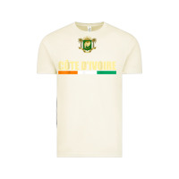 Vintage Arctic Cote d_Ivoire National Flag Ivory Coast Coat Of Arms Gift Vintage Tee - trangStudio