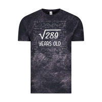 17 Year Old Gift Boys Girls Funny 17th Birthday Gifts Math Vintage Tee | Teevron