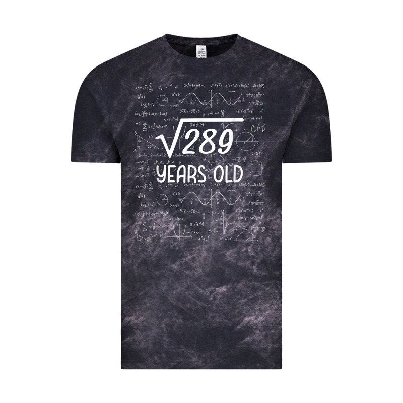 17 Year Old Gift Boys Girls Funny 17th Birthday Gifts Math Vintage Tee by trangStudio | Teevron