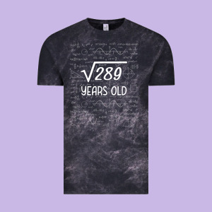 17 Year Old Gift Boys Girls Funny 17th Birthday Gifts Math Vintage Tee Designed By Trangstudio