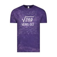 Cloud Purple 17 year old gift boys girls funny 17th birthday gifts math Vintage Tee - trangStudio