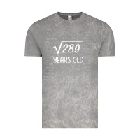 Cloud Rock 17 year old gift boys girls funny 17th birthday gifts math Vintage Tee - trangStudio