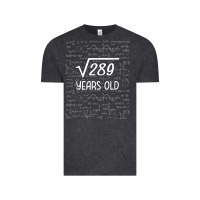 Vintage Black 17 year old gift boys girls funny 17th birthday gifts math Vintage Tee - trangStudio