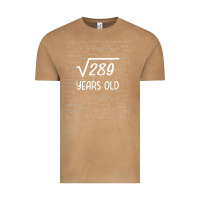 Vintage Camel 17 year old gift boys girls funny 17th birthday gifts math Vintage Tee - trangStudio