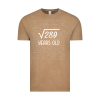 Vintage Coffee 17 year old gift boys girls funny 17th birthday gifts math Vintage Tee - trangStudio