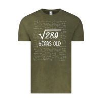 Vintage Olive 17 year old gift boys girls funny 17th birthday gifts math Vintage Tee - trangStudio