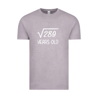 Vintage Zinc 17 year old gift boys girls funny 17th birthday gifts math Vintage Tee - trangStudio