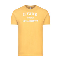 Vintage Mustard ipswich massachusetts ma vintage state athletic style Vintage Tee - trangStudio