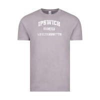 Vintage Zinc ipswich massachusetts ma vintage state athletic style Vintage Tee - trangStudio