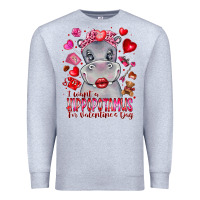 Heather Grey i want hippopotamus for valentines day Premium Sweatshirt - CowhideDigitalArt