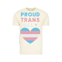 Vintage Arctic proud trans ally transgender Vintage Tee - trangStudio