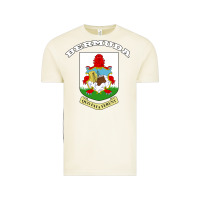 Vintage Arctic Bermuda Coat of Arms Souvenir Gift Flag Bermudian Vintage Tee - trangStudio