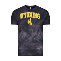 Cloud Black Kids Wyoming Cowboys Apparel Fan Favorite Brown Arch Vintage Tee - trangStudio