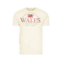 Vintage Arctic Rugby Welsh Gift Red Dragon Flag of Wales Vintage Tee - trangStudio