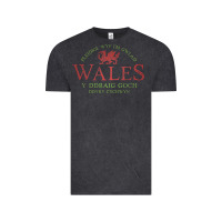 Vintage Black Rugby Welsh Gift Red Dragon Flag of Wales Vintage Tee - trangStudio