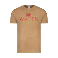 Vintage Camel Rugby Welsh Gift Red Dragon Flag of Wales Vintage Tee - trangStudio