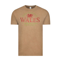 Vintage Coffee Rugby Welsh Gift Red Dragon Flag of Wales Vintage Tee - trangStudio
