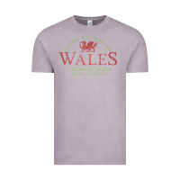 Vintage Zinc Rugby Welsh Gift Red Dragon Flag of Wales Vintage Tee - trangStudio