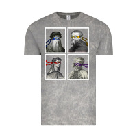 Cloud Rock Ninja Artists Leonardo Donatello Raphael Michelangelo Parody Renaissan Vintage Tee - trangStudio