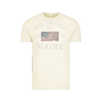 Vintage Arctic Bar Harbor Maine USA American Flag Established ME Vintage Vintage Tee - PixelWave
