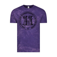 Cloud Purple Washington & Jefferson College Vintage Tee - Craftify