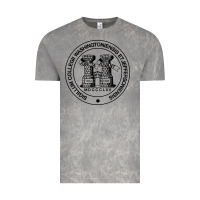 Cloud Rock Washington & Jefferson College Vintage Tee - Craftify