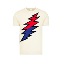 Vintage Arctic Lazy Lightning Bolt Vintage Tee - InspiraDesign