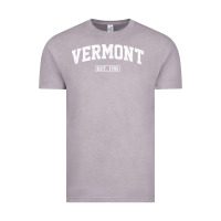 Vintage Zinc vermont vintage state athletic style pullover hoodie Vintage Tee - ArtChic